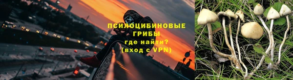 не бодяженный Арсеньев