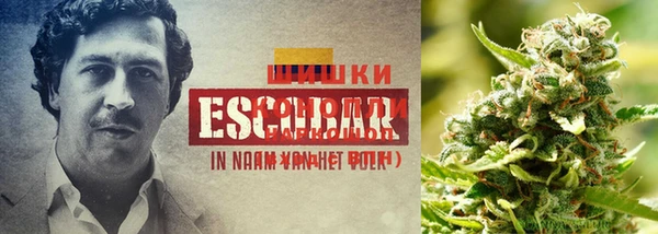 каннабис Армянск
