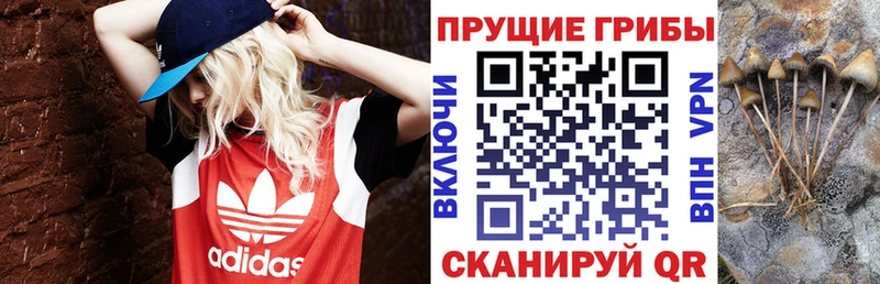 Псилоцибиновые грибы MAGIC MUSHROOMS  Будённовск 