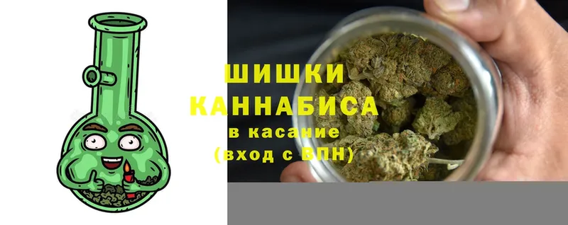 Шишки марихуана марихуана  купить  цена  Будённовск 